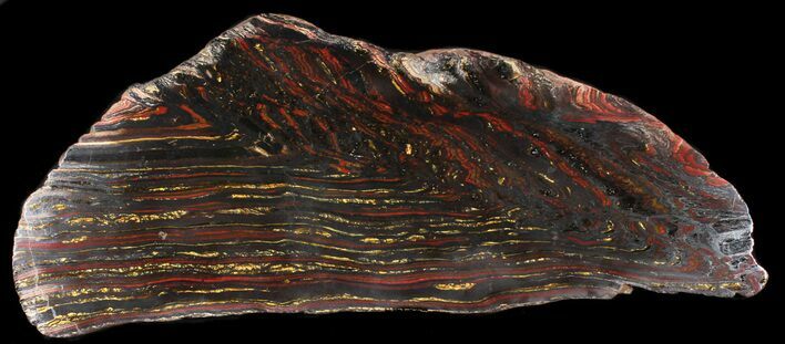Polished Tiger Iron Stromatolite - ( Billion Years) #38912